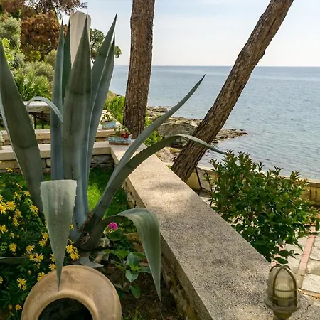 Luxus With Private Beach Villa Palaiontsiflikion