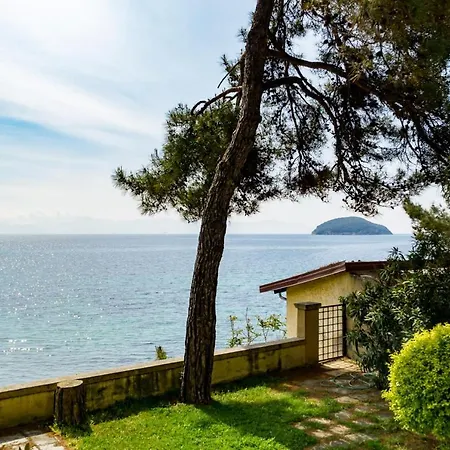 Luxus With Private Beach Palaiontsiflikion